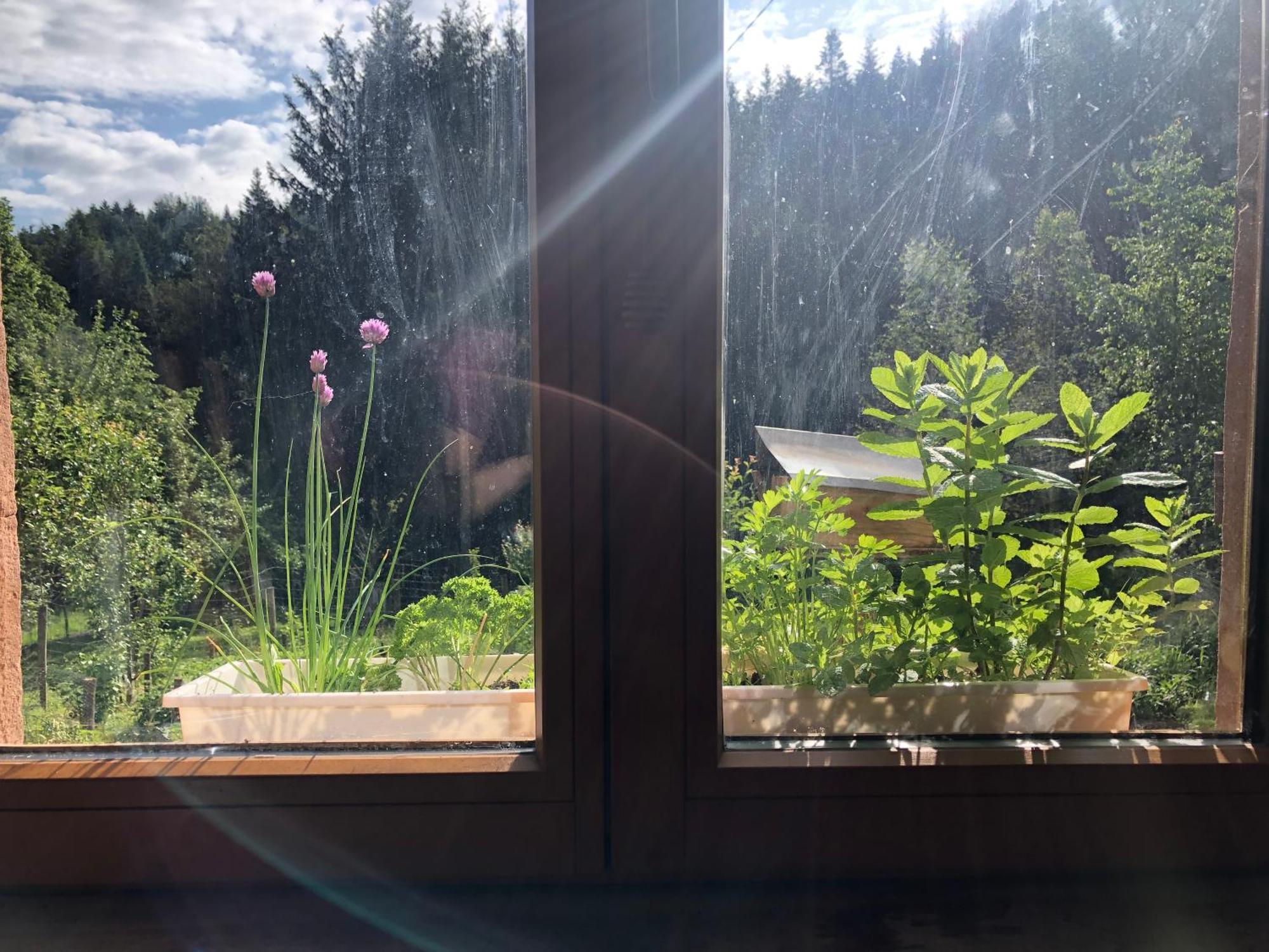 A L'Oree De Soi: Eco-Friendly Forest Retreat in the Vosges Saint-Sauveur  Exterior photo