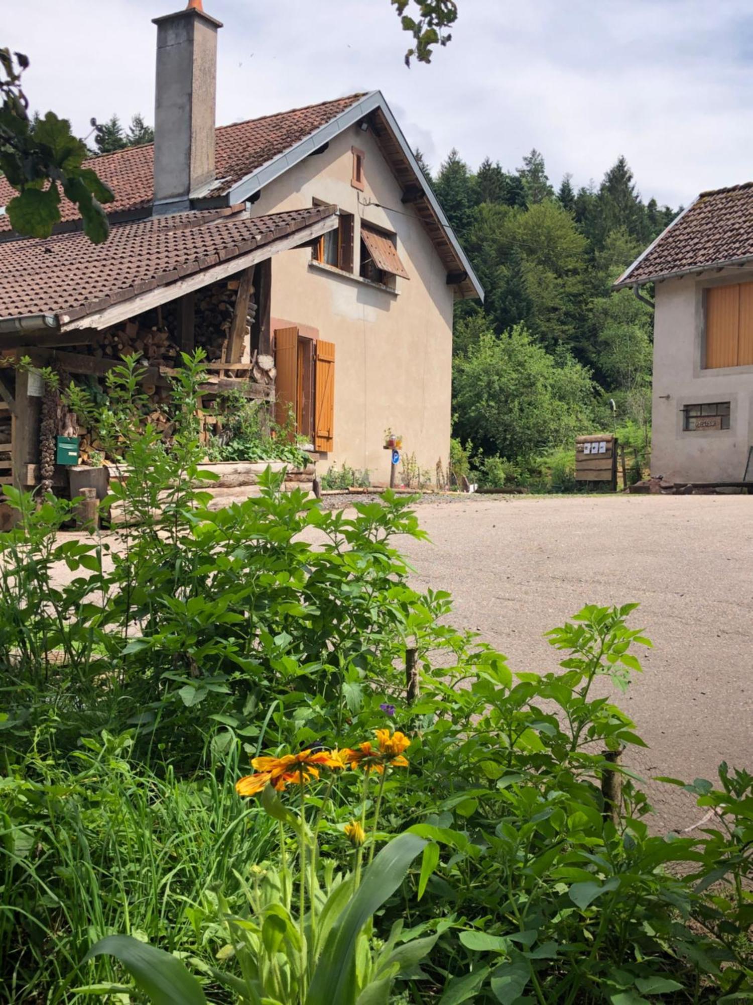 A L'Oree De Soi: Eco-Friendly Forest Retreat in the Vosges Saint-Sauveur  Exterior photo