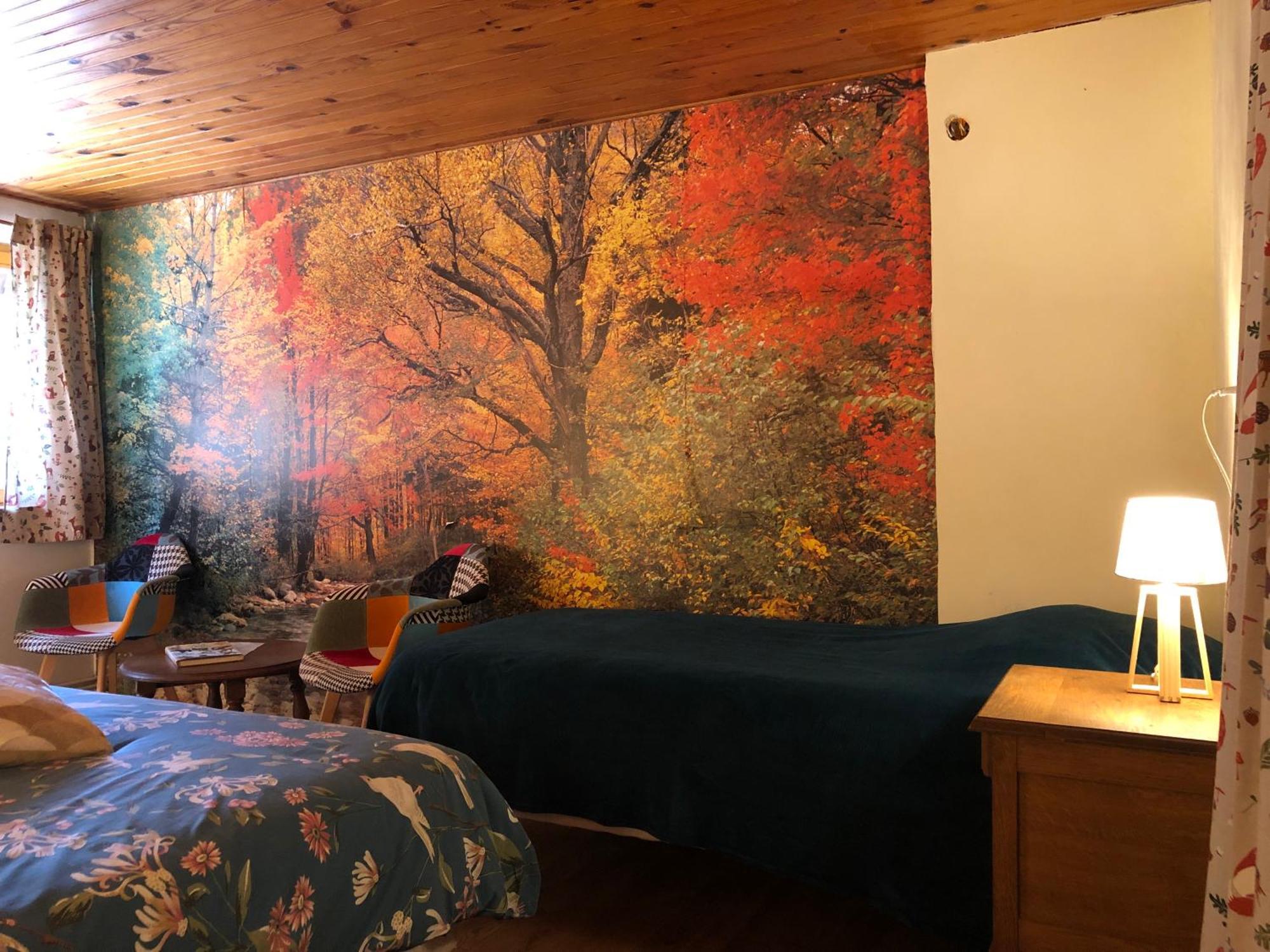 A L'Oree De Soi: Eco-Friendly Forest Retreat in the Vosges Saint-Sauveur  Exterior photo